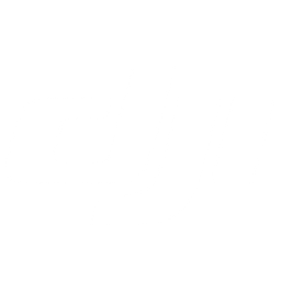 DJI